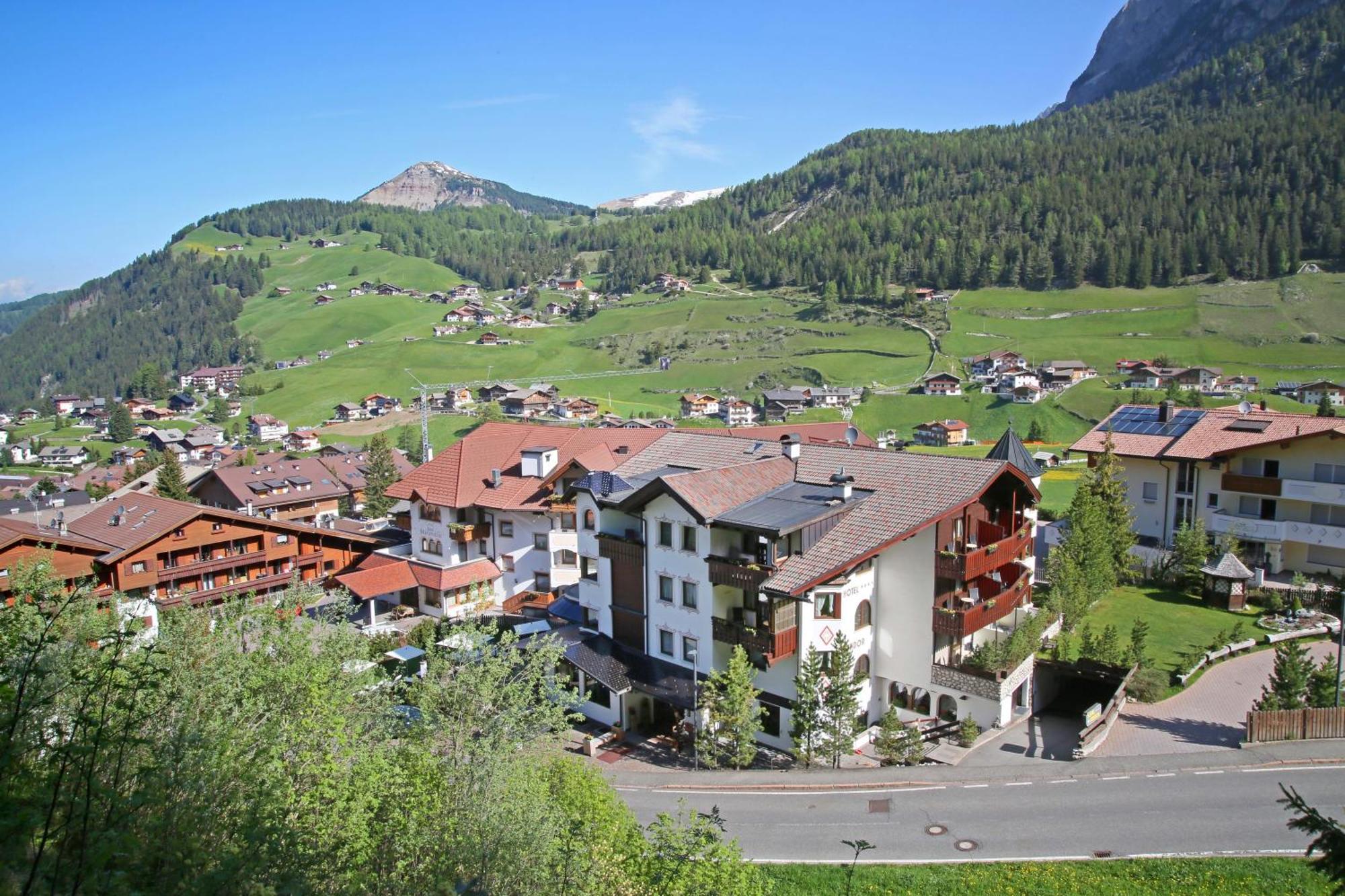 Condor Selva di Val Gardena